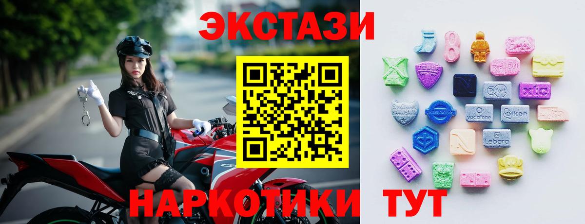 Экстази Philipp Plein  Вход с VPN  Узловая  Экстази Philipp Plein 