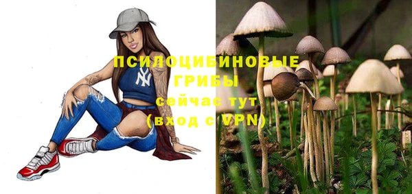 гашик Лихославль