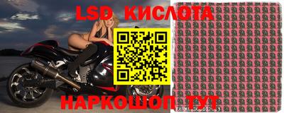 ПСИЛОЦИБИНОВЫЕ ГРИБЫ Кинель