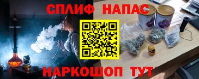 мдпв Камышлов