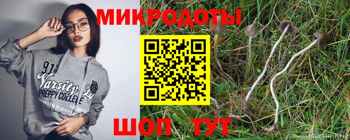 Галлюциногенные грибы прущие грибы Узловая