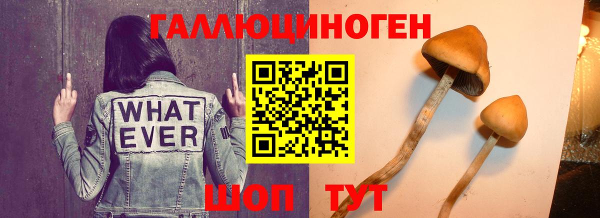 Псилоцибиновые грибы MAGIC MUSHROOMS  Вход с VPN  Галлюциногенные грибы мухоморы  Узловая 