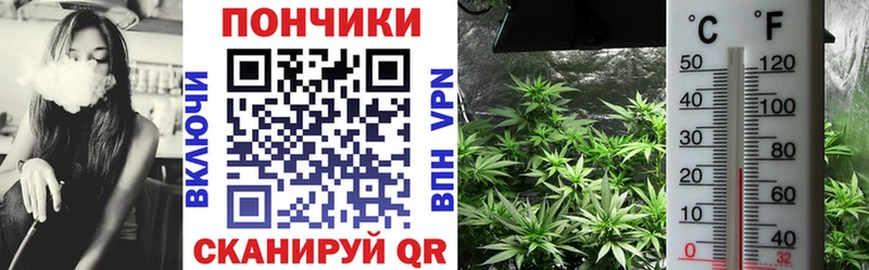 Канабис THC 21%  Узловая 